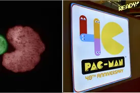 全球首次！活体机器人“可繁殖”，是灾难还是福音？| 专栏图片