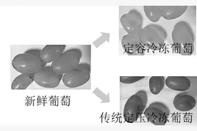 定容冷冻，“冻”住最新鲜图片