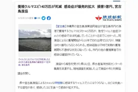 日本一渔港养殖虾因传染病全部死亡，损失达1亿日元，近30年首次出货量为零图片