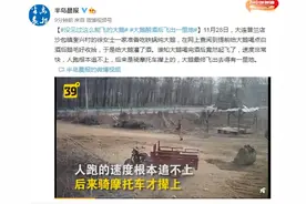 没见过这么能飞的大鹅 大鹅醉酒后飞出一里地图片