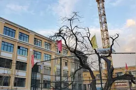 一个年级一座教学楼！改扩建后的青岛三中全面升级，明年9月启用图片