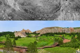 四宝山生出“新四宝”图片