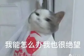 定闹钟浇水！山东一女子养了半年的花，发现竟是假的…网友评论笑疯了图片