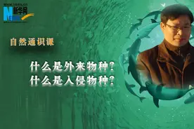 自然通识课丨什么是外来物种？什么是入侵物种？视频封面