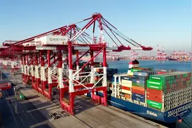 3155万标准箱！山东港口集装箱吞吐量已超越2020年图片