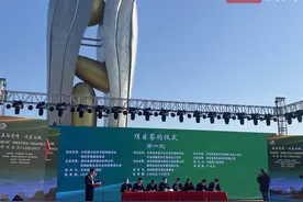 襄阳谷城举办首届农村电商博览会，打草鞋的手艺人与网红主播人气高图片