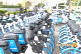 早安春城｜价格有变！上调图片