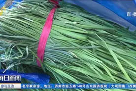 韭菜是被农药灌出来的？大错特错！绿色生物药防治韭蛆可放心食用视频封面