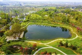 数字看江苏，来苏旅客最爱去哪逛？图片