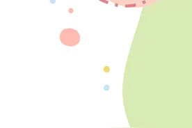 【动植物检疫】铲屎官必读丨宠物入境超全指南图片
