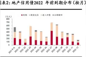 明年一季度房企迎大考：明年1月份为第一个到期偿债高峰，解开流动性“死结”有待时日丨债市脱水研报图片