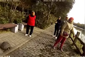 上海市民河边捞起一只乌龟，竟是国家二级保护动物视频封面