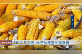 热搜第一！女子接触霉变玉米后肺部长满黄曲霉菌，什么是黄曲霉毒素，它有哪些危害？图片