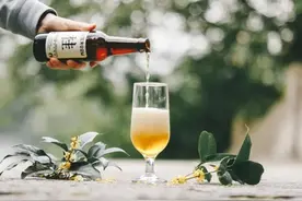 有品日报 | 山海潮玩/Taste Room获融资；泡泡玛特虚假宣传被罚；钟薛高股东均变更为香港公司图片