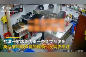 你听过鱼叫吗？烤鱼店里的这条鱼突然发出“猫”叫声救了自己一命……图片