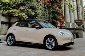 欧拉好猫陷入“换芯门”，缺芯潮下车市乱象丛生图片