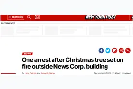 美国纽约新闻集团大厦外巨型圣诞树遭人纵火，现场火光四溅图片