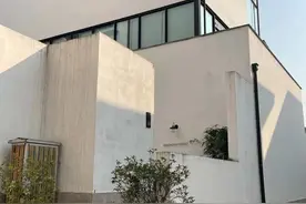 火遍B站，听了会上头的《大拇哥之歌》是怎么做出来的？背后的年轻团队就在杭州图片