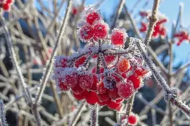 你为什么一定要被支付宝坑，才能学会理财图片