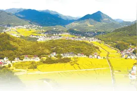 机收、播种茬茬相接，收储、加工环环紧扣一粒粮食的“产业链之旅”（深度观察）图片