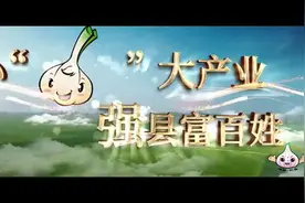 乡村振兴看开封丨杞县：大蒜产业兴 强县富百姓图片