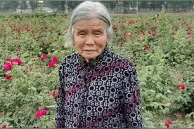 秋韵 | 我的母亲图片