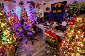 德国夫妇在家用10000多件道具装饰了444棵圣诞树图片