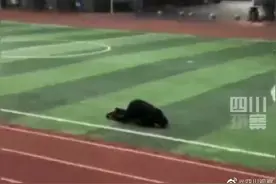 笑喷！学生另类庆祝放假被家长嫌弃：拒收图片