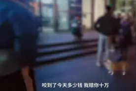 遛狗不牵绳称“咬到赔你10万”，警方介入图片