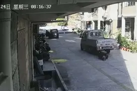 快递小哥撞人后伪装成救人者？伤者经抢救无效去世...警方：正走流程图片