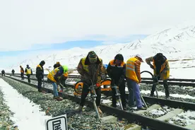 世界屋脊上挺起“钢铁脊梁”——青藏铁路精神述评图片