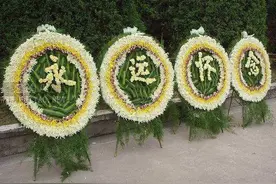 「青未了」汲海｜脱服图片