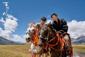 谢霆锋丁真被全网磕疯，我却只看到两个自由的灵魂：未被名利束缚，也无需羡慕飞鸟图片