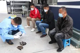 闲来无事用弹弓打鸟，瑞丽3名“都市猎人”当场被抓图片