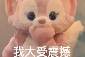 “天价”玲娜贝儿惹争议，网友：拒绝成为饥饿营销的“韭菜”图片