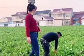 玩杂技拍抖音吸粉338万，南通这对“80后”夫妇用流量反哺乡村图片
