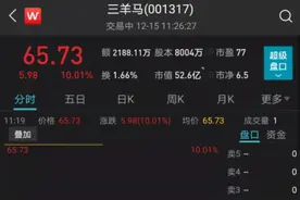 连拉12个涨停板！这只次新股彻底火了图片