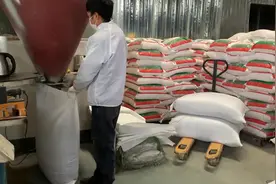 赵英彩和她的苦荞产业图片