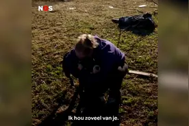 感人！美国女子在被龙卷风摧毁的废墟中找到失散的狗图片