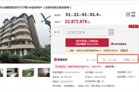 104套房，浙江富豪陈志樟实控公司名下房产将拍卖图片