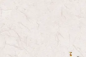 「百个瞬间说百年」2020，众志成城抗击新冠肺炎疫情图片