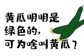 黄瓜明明是绿色的，为啥要叫黄瓜？看完又涨知识了…图片