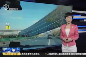 湖北鄂州境内一高速公路发生桥梁侧翻  已致3人死亡4人受伤：交通运输部派专家赶赴鄂州处置桥梁侧翻事故视频封面