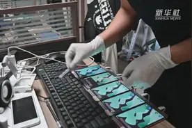 数百万社交账号成电诈工具！起底账号“加工厂”图片