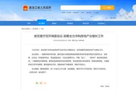 激发群众购房需求，黑龙江要“全力冲刺房地产业增长”图片