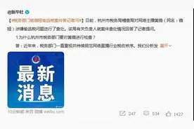 偷逃税6.43亿！薇娅被追缴并处罚款共13.41亿 已有上千网络主播主动自查补缴税款图片