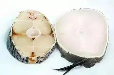 大西洋真鳕鱼好不好 2026年大西洋真鳕鱼好吃吗