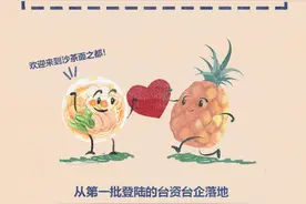 一图读懂厦门经济特区这40年图片