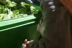 深圳一女子凌晨背着婴儿捡废品，官方：其夫有工作表示不需要帮扶图片