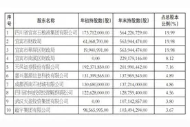 宜宾市商业银行：确保2025年实现上市，且总资产破1000亿元图片